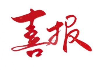 四川融策成功中标四川省退役军人事务厅服务项目、四川省交通运输厅专项检查项目